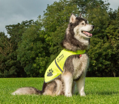 Safety Reflective Vest for Dogs - High Visibility for Outdoor Activity Day and Night