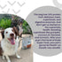 I and love and you Nude Super Food Dry Dog Food, Red Meat Medley, Grain Free, Prebiotic + Probiotic, 5lb Bag
