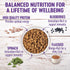 Wellness Natural Pet Food Complete Health Natural Dry Small Breed Healthy Weight Dog Food, Turkey & Rice, 4 Pound (Pack