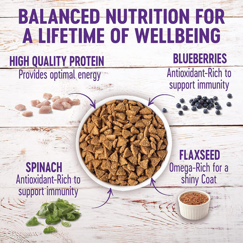 Wellness Complete Health Small Breed Dry Dog Food with Grains, Natural Ingredients, 4-Pound Bag, Turkey & Oatmeal