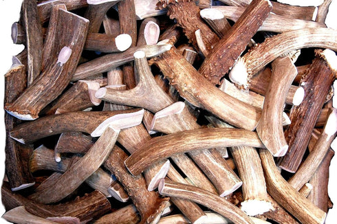 Premium Deer Antler Pieces - Dog Chews, Antlers by The Pound, One Pound, 6 Inches or Longer