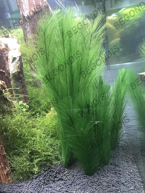 BEGONDIS 3Pcs Aquarium Decorations, Artificial Green Water Plants for Fish Tank, Silk Fabrics Plastic