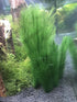 BEGONDIS 3Pcs Aquarium Decorations, Artificial Green Water Plants for Fish Tank, Silk Fabrics Plastic