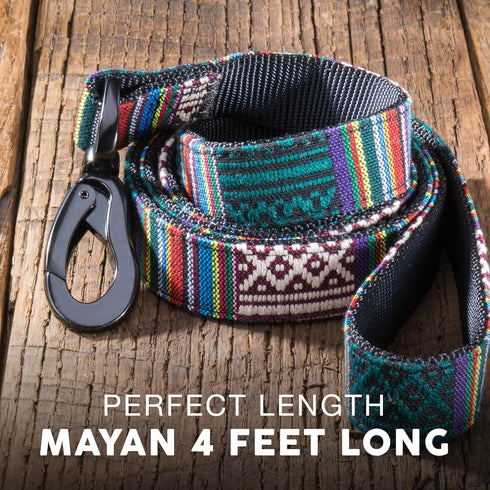 Embark Urban Dog Leashes, Colorful Strong Nylon for Small Medium Large Dogs, Heavy Duty (Mayan, 4 Ft)