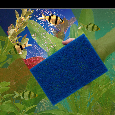 Penn-Plax WZP3 Wizard Scrubber Pad, 6” x 9”, for Glass Tanks, Non-Scratch, Removes Accumulated Grime