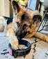 Tactical Dog Collar 2 Inch Wide Heavy Duty with Metal 2-Pin Buckle for Medium, Large & XL Dogs, Reflective