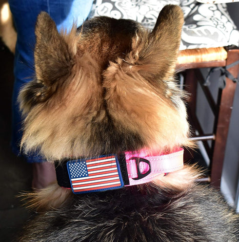 2-Inch Wide Tactical Dog Collar with Control Handle, Adjustable for Medium & Large Dogs, Military Style, USA Flag Patch