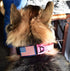 2-Inch Wide Tactical Dog Collar with Control Handle, Adjustable for Medium & Large Dogs, Military Style, USA Flag Patch