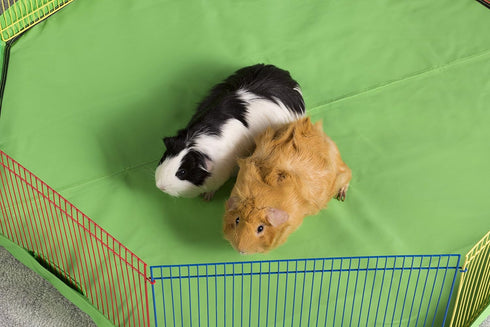 Playpen Cover/Mat for Pets by Prevue Pet Products