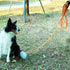 Long Dog Leash for Training 16FT/30FT/50FT/100FT, Reflective with Lockable Hook, Heavy Duty Lead for Large Medium Small