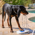 Pet Fit For Life Step-On Dog Pedal Water Fountain - Sprinkler Toy for Drinking and Water-Play, includes Giant Tennis