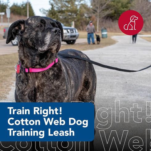 Coastal Pet Train Right Cotton Web Dog Training Leash - 100% Cotton Dog Leash for Training - Durable Dog Walking Leash - Leash for Puppies & Dogs - Quality Dog Supplies - Black, 5/8" x 10'