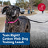 Coastal Pet Train Right Cotton Web Dog Training Leash - 100% Cotton Dog Leash for Training - Durable Dog Walking Leash - Leash for Puppies & Dogs - Quality Dog Supplies - Black, 5/8" x 10'