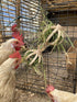 Spinning Feeder Ball Toy for Chickens, Food Holder for Backyard Coops, Enrichment Hay Ball, Gift for Chicken Keepers