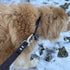 Leather Dog Leash with Locking Carabiner - Strong and Soft for Training and Walking, 6 Ft Long x ¾” Wide