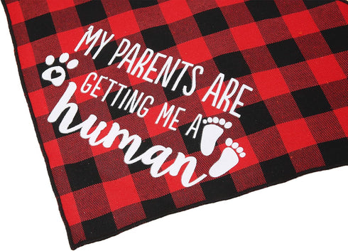 My Parents are Getting me a Human, 2 Pack Gender Reveal Dog Bandana