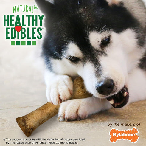Nylabone Healthy Edibles Natural Dog Chews, Long Lasting Bacon Flavor, X-Large/Souper (1 Count)