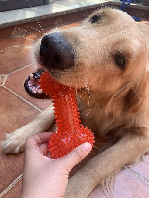 Non-Toxic Dog Squeaky Toys Value Set, TPR Rubber Balls, Spikey Chew Toys for Small Medium Dogs, Puppy Teething Toys
