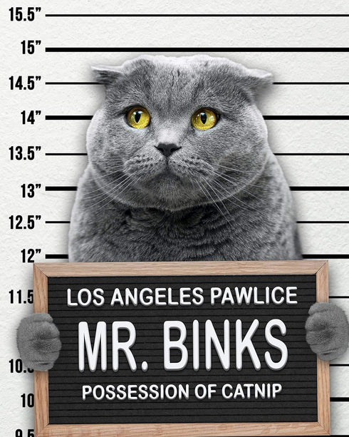 Dog Mugshot Custom Pet Mugshot, Personalized Gift for Your Dog, Cat or Pet
