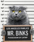 Dog Mugshot Custom Pet Mugshot, Personalized Gift for Your Dog, Cat or Pet