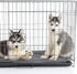 PETMAKER Self-Heating Pet Bed - Thermal Dog Mat with Soft Sherpa Top for Dogs, Cats, and Small Pets, Washable Crate Pad