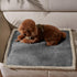 Kritter Planet Waterproof Puppy Blanket, Pee Proof Sherpa Fleece Cover for Small Dogs, Liquid Proof Furniture Protector