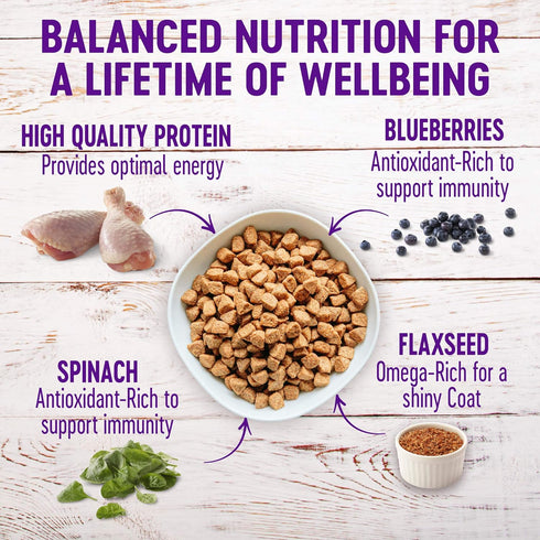 Wellness Complete Health Dry Dog Food with Grains, Natural Ingredients, 5-Pound Bag, Chicken & Potatoes