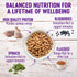 Wellness Complete Health Dry Dog Food with Grains, Natural Ingredients, 5-Pound Bag, Chicken & Potatoes
