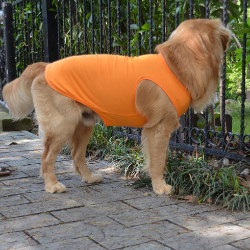 2018 Pet Clothes Dog T-Shirt Tanks Vests for Small Medium Large Dogs, 100% Cotton Summer Vest, Classic (L, Orange)