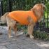 2018 Pet Clothes Dog T-Shirt Tanks Vests for Small Medium Large Dogs, 100% Cotton Summer Vest, Classic (L, Orange)