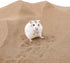 Niteangel Hamster Desert Bath Sand, No-Dust Bath or Potty Litter for Hamster, Chinchillas, Gerbil, Mice