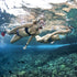 Set Seavenger Aviatar Diving Dry Top Snorkel with Adjustable Open-Heel Fins, Single-Lens Mask, and Mesh Gear Bag