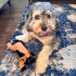 SPOT Skinneeez Extreme Stuffers Cow Dog Toy 14in - Stuffing Free with Squeaker & Rip Stop Mesh for Small to Medium Dogs