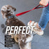 Leash Boss Traffic Handler - Short Dog Leash with Traffic Handle for Large Dogs, Great for Training (12 in, Red)