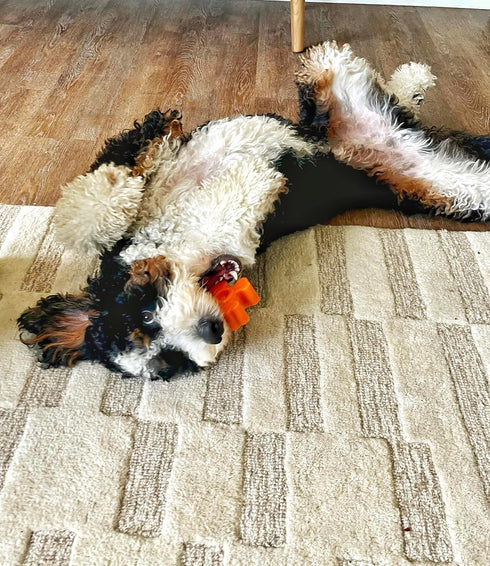 Tough Pup Puck Dog Toy for Aggressive Chewers, Long Lasting Chew Toys, Stuffable Center with Treats, Easy to Clean