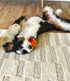Tough Pup Puck Dog Toy for Aggressive Chewers, Long Lasting Chew Toys, Stuffable Center with Treats, Easy to Clean