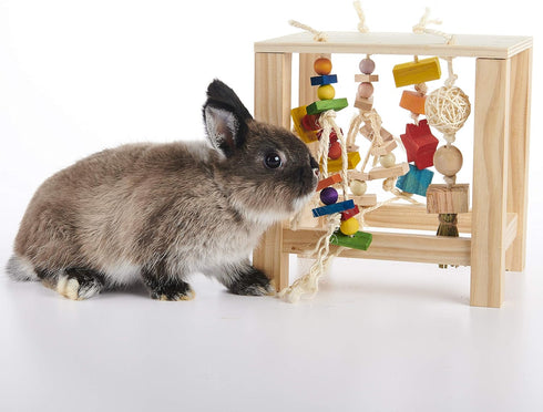 Chinchilla, Chinchilla Oxbow Enriched Life Play Table, Rabbit Toys, Guinea Pig Toys, Enrichment for Bunny, Guinea Pig