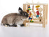 Chinchilla, Chinchilla Oxbow Enriched Life Play Table, Rabbit Toys, Guinea Pig Toys, Enrichment for Bunny, Guinea Pig