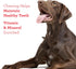 50 Count DreamBone Twist Sticks, Wrapped With Real Chicken, Rawhide-Free Chews For Dogs