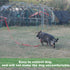 Strong Durable Nylon Dog Training Leash, 1 Inch Wide, 6 ft, 10 ft, 15 ft Long for Small and Medium Dogs (Black, 10 Feet)