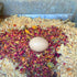 (1.25 Premium Non-GMO Backyard Chicken Nesting Herbs pounds) - Naturally Keep A Clean Coop Your Hens Will Love