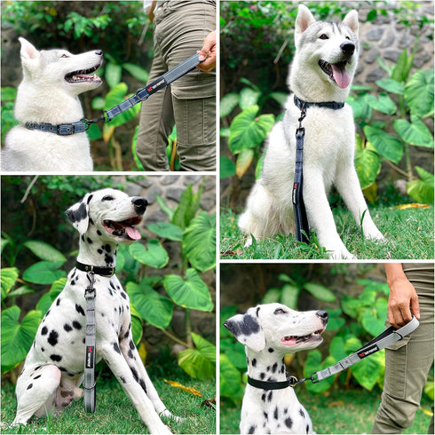Tuff Pupper Short Dog Leash for Training | 12 Inch | Perfect Traffic Leash Handle with Padding for Service Dog Harness