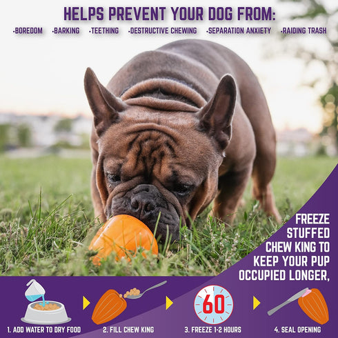 Chew King Premium Treat Dog Toy, Durable Natural Rubber, Bacon Flavored, Large, Orange