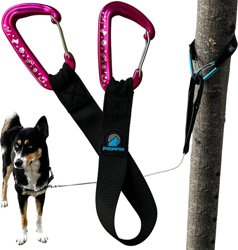 Pink Outdoor Adventure Dog Leash Tether