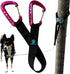 Pink Outdoor Adventure Dog Leash Tether