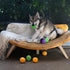 Midlee Squeaky and Crinkley Plush Dog Balls, Set of 8 (3 1/2" Refill Hide a Ball)
