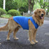 2018 Pet Clothes Dog Blank T-Shirt Tanks Top Vests for Small Medium Large Dogs, 100% Cotton Summer Vest (XXXL, Blue)