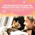 Beyond Purina High Protein Natural Kitten Food, Chicken & Oatmeal Recipe, 3 lb. Bag
