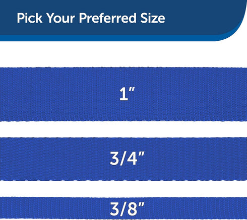 PetSafe Nylon Dog Leash - Strong, Durable, Royal Blue, 3/8 in. x 6 ft. with Bolt Snap