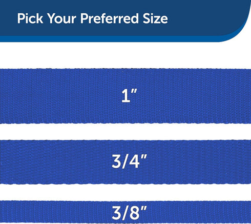 PetSafe Nylon Dog Leash, Strong Durable Traditional Style with Easy Bolt Snap, 1 in. x 4 ft., Royal Blue